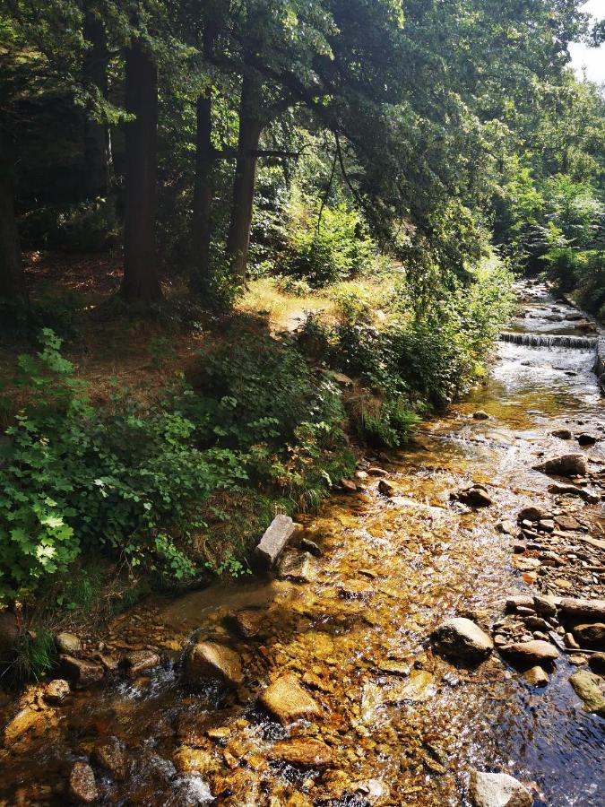 Chillout-Aparts Świeradów-Zdrój Eksteriør billede